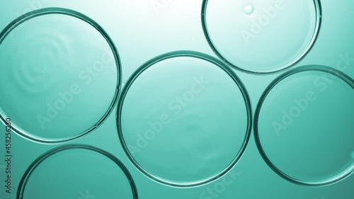 Top view macro shot of clear drops are falling in multiple petri dishes with clear liquid on tile background | Abstract face care cosmetics mixing concept photo