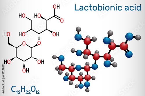 Lactobionic acid, lactobionate  molecule. It is PHA, polyhydroxy acid, disaccharide, sugar acid, food additive E399. Structural chemical formula, molecule model