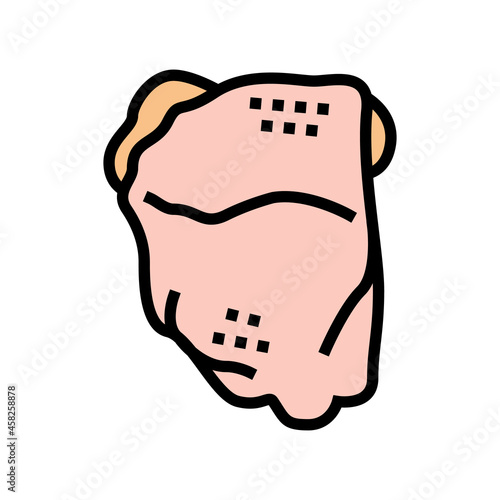 thigh bone-in chicken color icon vector. thigh bone-in chicken sign. isolated symbol illustration