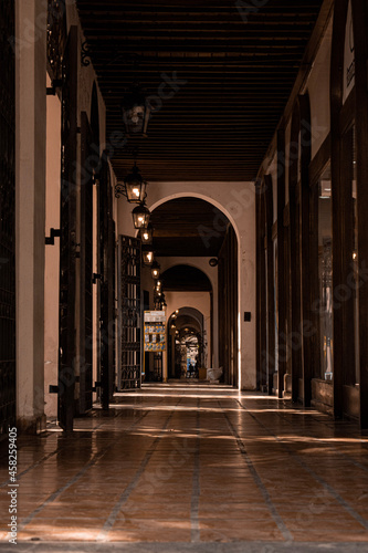 interior of a mosque country by perspective