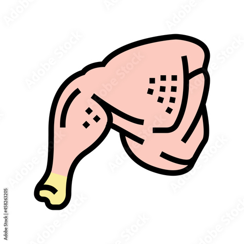 whole leg chicken color icon vector. whole leg chicken sign. isolated symbol illustration