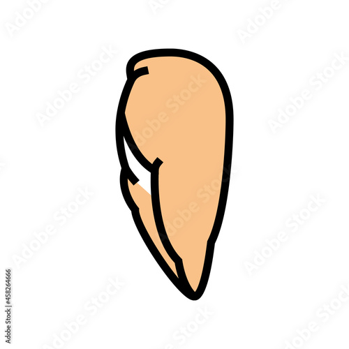 breast boneless skinless chicken color icon vector. breast boneless skinless chicken sign. isolated symbol illustration