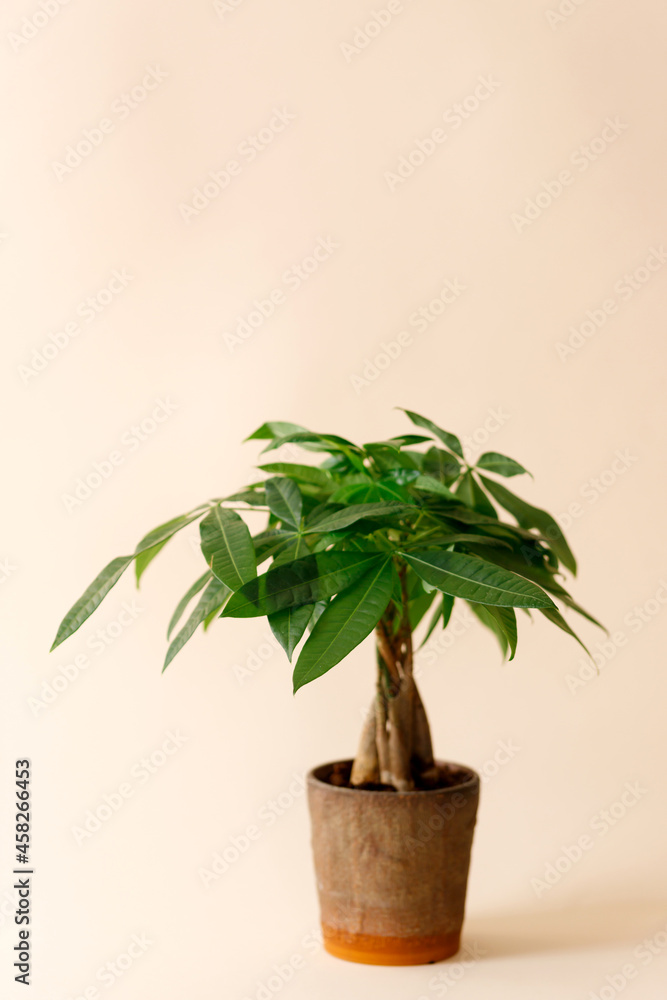 A A
