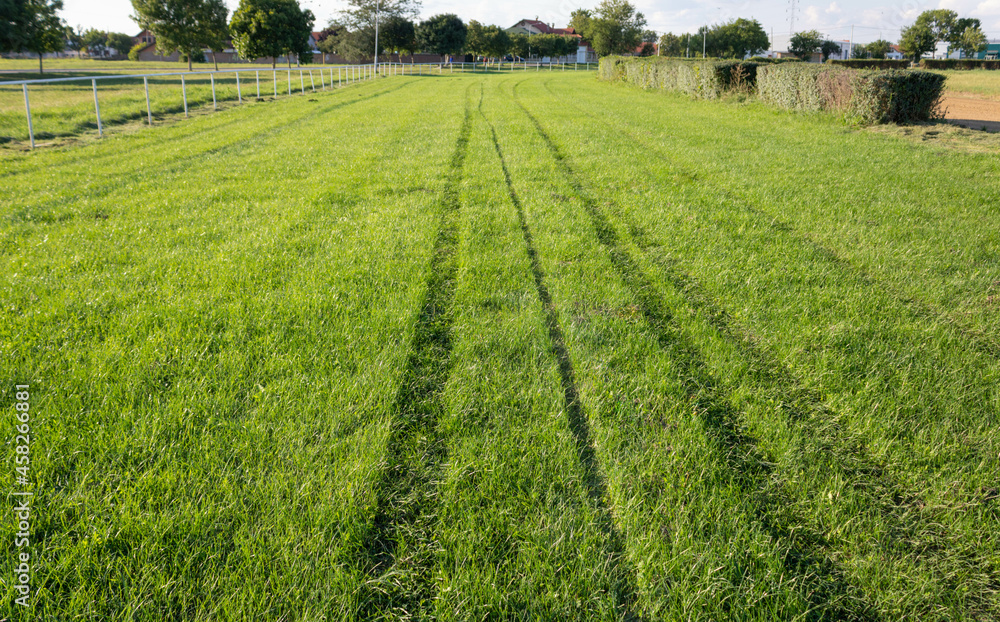 Empty green grass race track for horse racing on summer sunny day, close up