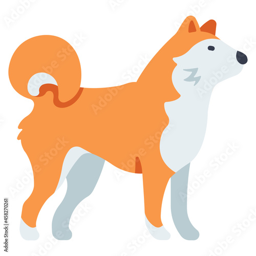 shiba dog icon