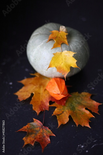 green pumpkin with autumn leaves