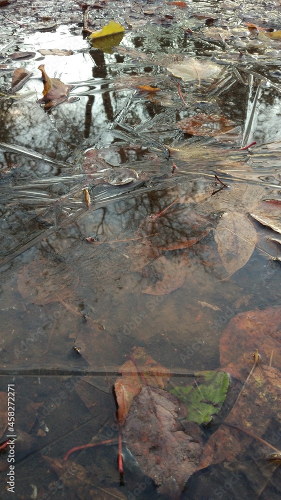 In the morning, the frost hit. Frozen puddles, leaves and reflections in the ice.