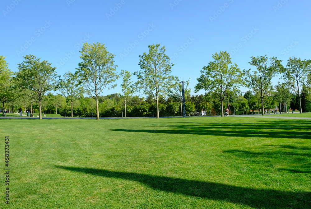 A beautiful landscape of the park and a recreation area in the city, a green field and a tree, beautiful shadows from trees