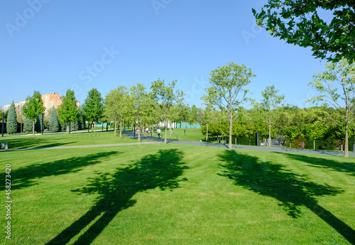 A beautiful landscape of the park and a recreation area in the city, a green field and a tree, beautiful shadows from trees © Ольга Остапенко