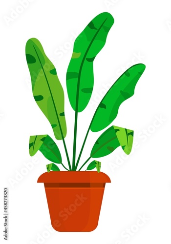 Indoor plant in a pot. Flower. Gardening, floriculture, botany. Cartoon drawing. For collages. Interior web design. Landscape design