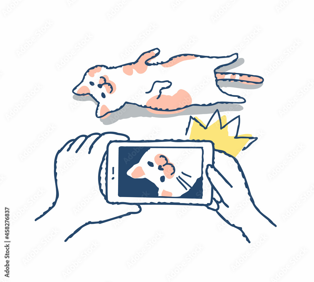 マートフォンで猫を撮影している場面 マートフォンで猫を撮影している場面