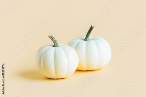 Ripe pumpkins on a yellow pastel background. Minimalistic concept for Thanksgiving card or background.