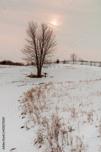 Wallpaper Mural Iowa Jasper State Park Winter Scene Torontodigital.ca