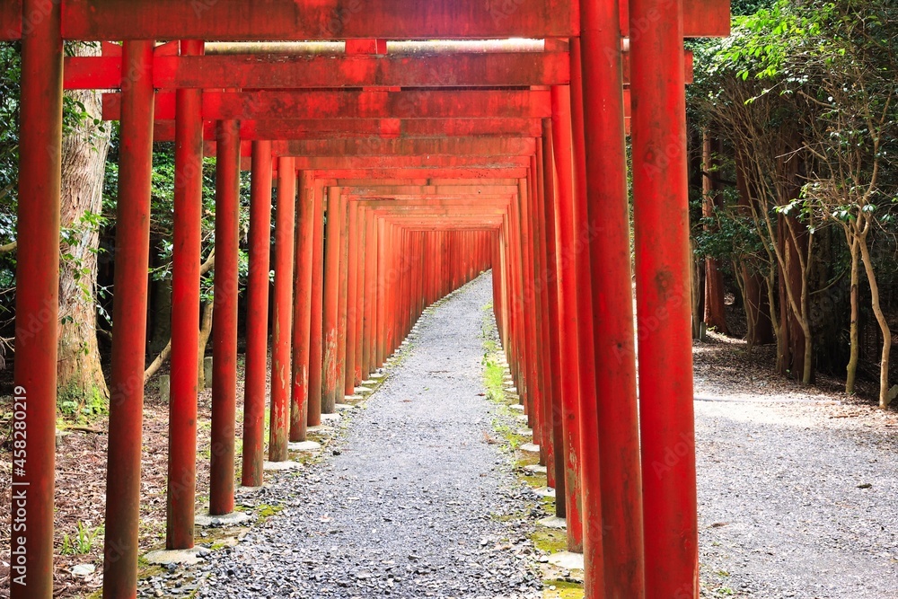 連続して先が見えない沢山の赤い鳥居