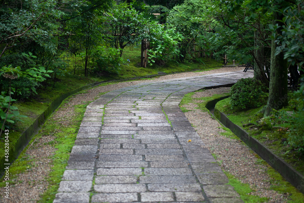 日本庭園　庭園　石畳