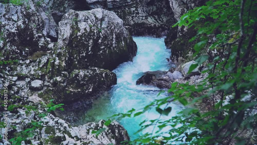 blue river in the forest