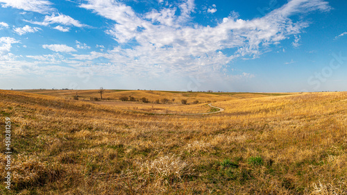 Iowa State Park Neal Smith Wildlife Buffalo Refugee