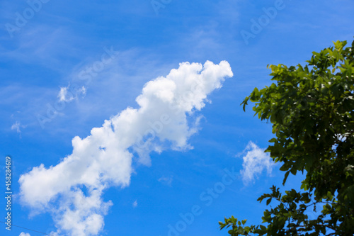 Beautiful tree on blue sky background © Chaikom