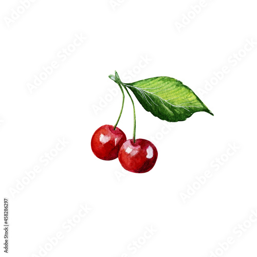 Watercolor Cherries on Branch. Hand Drawn Illustration Organic Food Vegetarian Ingredient