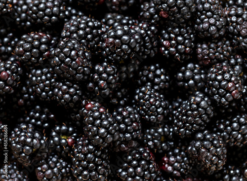  Ripe organic blackberries close up macro. Selective focus