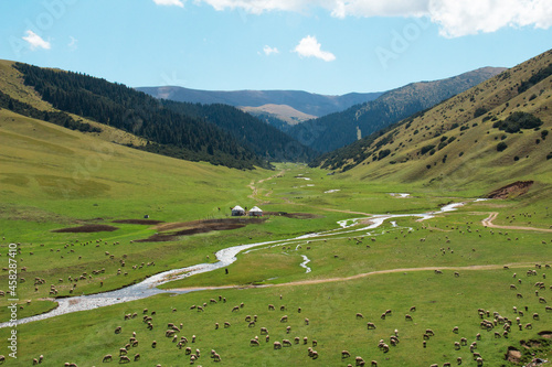 A wide alpine valley of the Assy plateau in a mountain gorge with a river, sheep graze in the valley, there are ethnic yurt houses, in the slopes of mountains with a forest,sky and clouds,summer,sunny