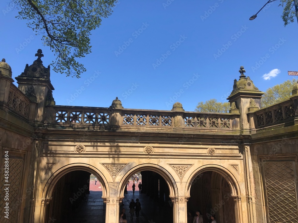Obraz premium arch in the park