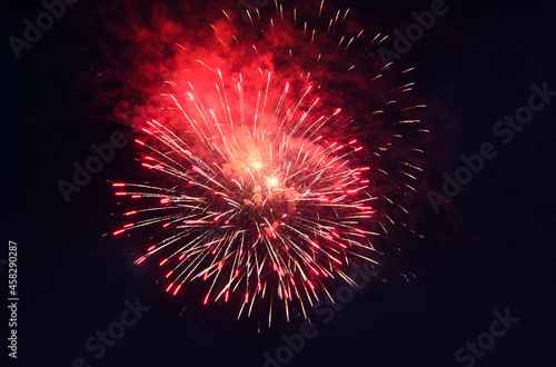 Beautiful bright firework lighting up night sky