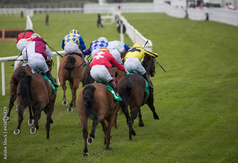 Racehorses sprinting towards the finish line, view from behind Racehorses sprinting towards the finish line, view from behind