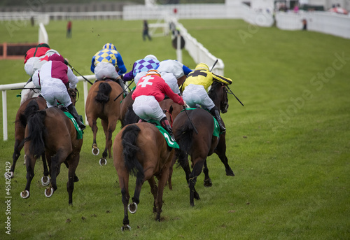 Racehorses sprinting towards the finish line, view from behind