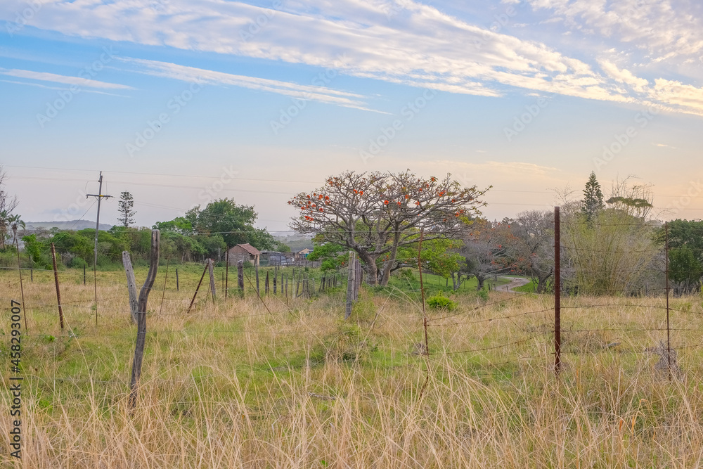South Africa, Hogsback, Drone, Sunset South Africa, Hogsback, Drone, Sunset