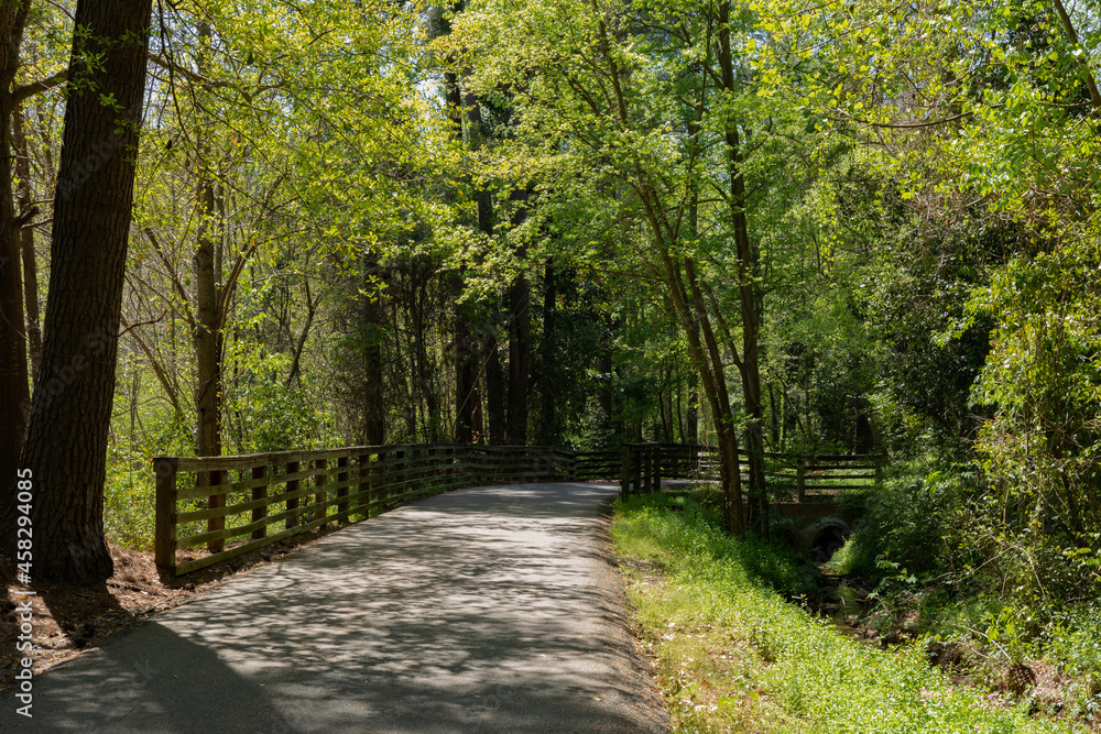 Naklejka premium Paved path through a heavily wooded greenway, fencing and drainage ditch flanking the path, North Augusta South Carolina, horizontal aspect