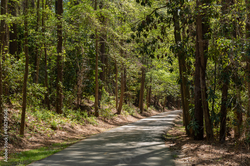 Paved greenway through a wooded area with shade and dappled sunshine, North Augusta South Carolina, horizontal aspect