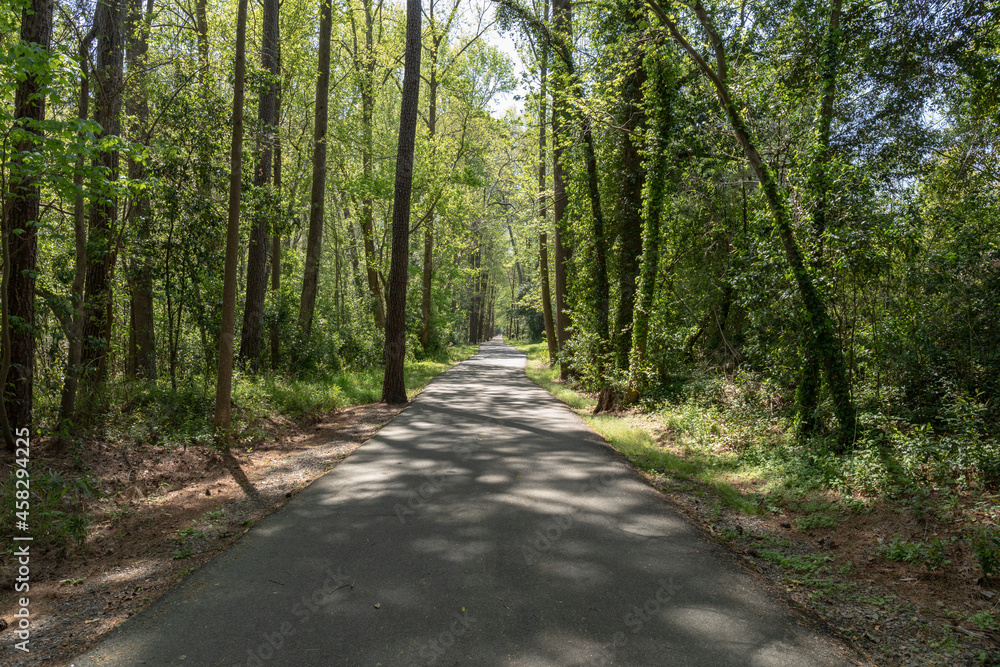 View down a long, straight stretch of public access bike and walking path, shade with dappled sunlight, North Augusta South Carolina, horizontal aspect View down a long, straight stretch of public access bike and walking path, shade with dappled sunlight, North Augusta South Carolina, horizontal aspect