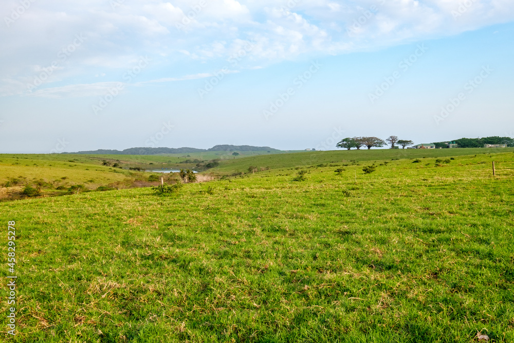 Farmlands of South Africa
