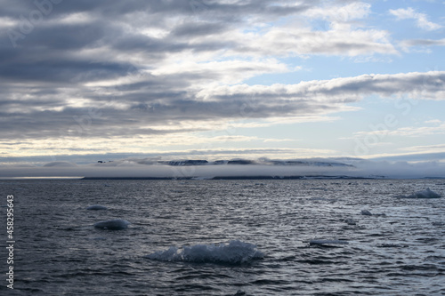 Arctic landscape in summer time. Franz Jozef Land archipelago. Flora cape  Gukera island.