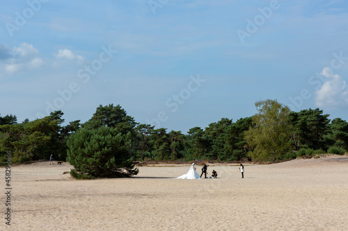 Soesterduinen drift sanddune landscape with white sand and pine trees featuring an open air public park bridal photoshoot