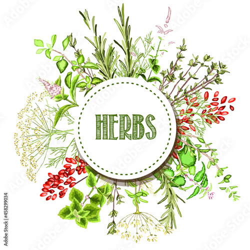 A colorful set of spices, herbs and spices. Bright, colorful hand drawing. Vector for menu, restaurant,
food and kitchen design.
