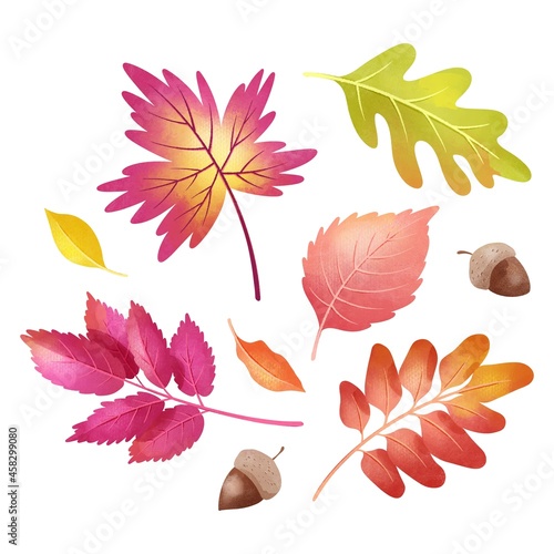 watercolor autumn leaves set vector design illustration