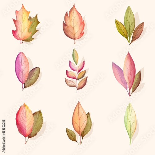 watercolor autumn leaves collection vector design illustration