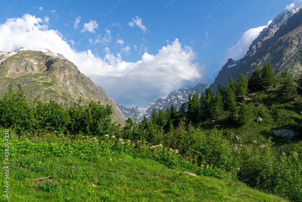 Panoramic view of relaxing mountain scenery with mountains in the background and meadow, grass, on a nice, sunny day.