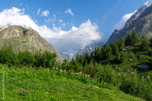 Panoramic view of relaxing mountain scenery with mountains in the background and meadow  grass  on a nice  sunny day.