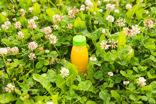 Diet, detox and healthy lifestyle concept. Fresh juice in bottle on a green grass