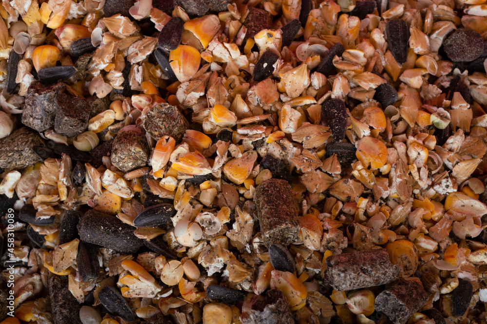 background of basical nutrition muesli for horses. feeding and horse care concept. close up. top view background of basical nutrition muesli for horses. feeding and horse care concept. close up. top view