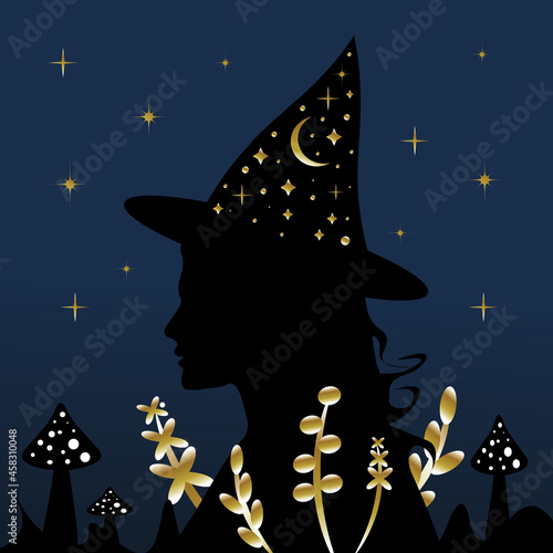The sorceress shines with the stars and the moon at night. Halloween, the magic of the evening