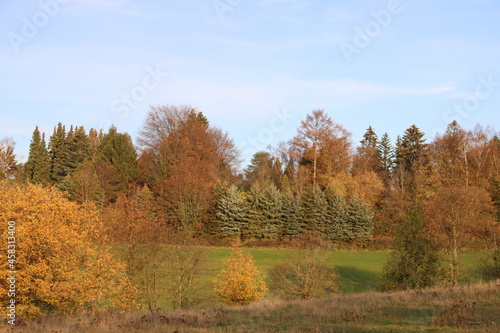 Landschaft mit bunten B  umen im Herbst