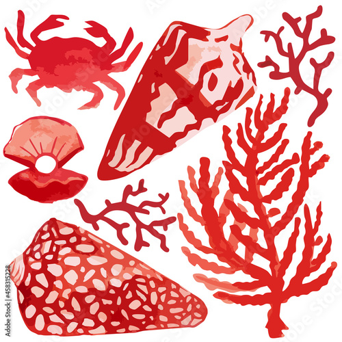 Vector watercolor illustrated red ink sea shells, corals, crab and pearl decor elements for card