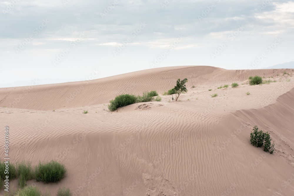 Desert dunes landscape at Mexico