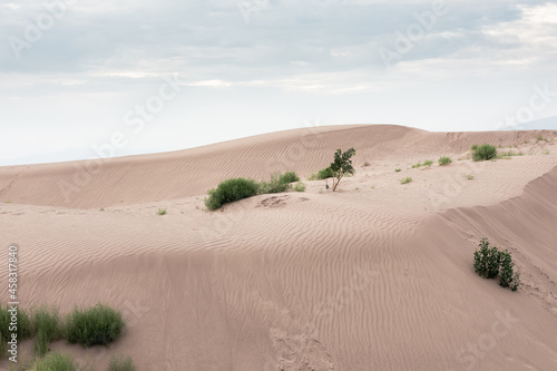 Desert dunes landscape at Mexico