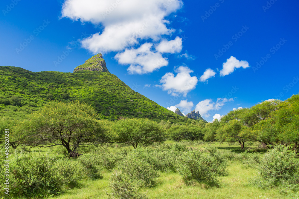 Fototapeta premium Beautiful mountain landscape of Mauritius island. Picturesque tropical nature.