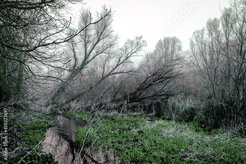 Foggy Dull Day at Irish Canal